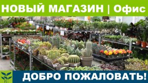 Новый Магазин|Офис. Добро пожаловать!
