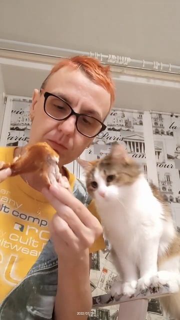 А вы кормите своих котеек человеческой едой? Мои едят только корм премиум класса #cat #дайпоесть смотреть онлайн