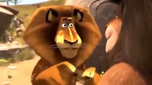 Дагестанцы против чеченцев на Мадагаскаре смотреть онлайн