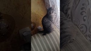 знакомство