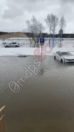 Сургут ЖК Голд Фиг паводок 2025 потом недвижимость Сургута