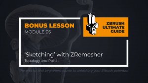 5-7 BONUS   Sketching with ZRemesher