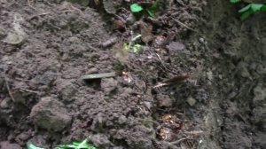 Не ожидал такого от этого места.