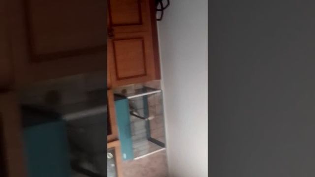 Кузя от меня улетел😞. смотреть онлайн