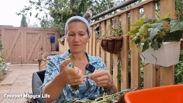 НЕ ВСЕ ТАК ПЛОХО КАК КАЗАЛОСЬ😊Шкатулка секретов и хобби развлечения 22 августа 2023 смотреть онлайн