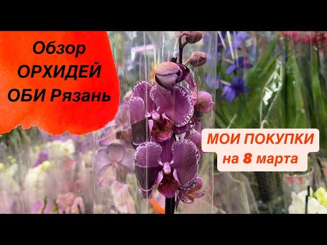 МОИ ПОКУПКИ. Обзор орхидей ОБИ 8 марта #8марта #женскийдень #новыеорхидеи #обзорорхидей #цветы