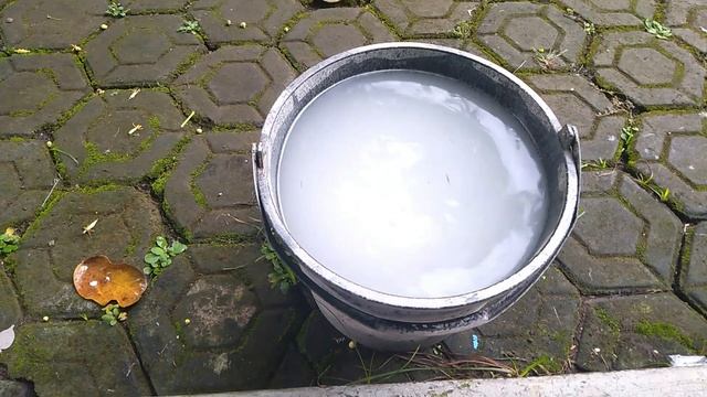 HANYA DENGAN PUPUK 500 RUPIAH,SATU BULAN POHON SUDAH BERBUAH. #STAY AT HOME #TETAP PRODUKTIF смотреть онлайн