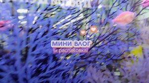 МИНИ ВЛОГ и распаковка !!) 🍡🧋