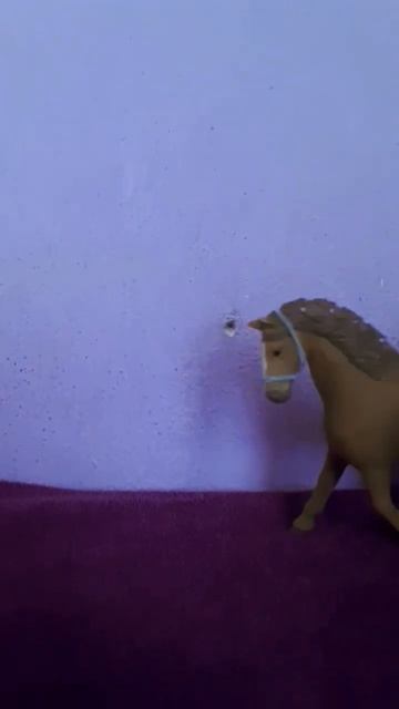 25. května 2023 смотреть онлайн