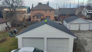 Mini Duolingo Sings Skibidi in Canada