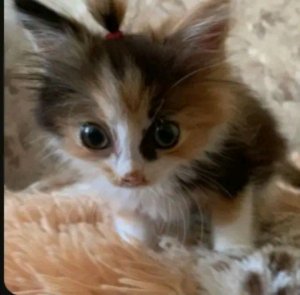 Умываюсь завтракаю и собираюсь к подруге в гости🤪😚✨💋