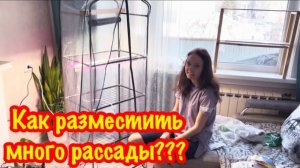 МОЯ ПОКУПКА В ФИКС ПРАЙС/ПРЕОБРАЖАЮ НОВЫЙ СТЕЛАЖ ДЛЯ РАССАДЫ/ПОСЕВ СЕМЯН ПЕРЦА НА РАССАДУ