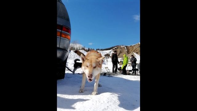 08 03 2023 фото смотреть онлайн