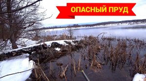 РЫБАЛКА КОНЧИЛАСЬ ВНЕЗАПНО. Ловлю рыбу на местных прудах.