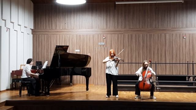 Н. Щербаков, "Элегия". Переложение для скрипки, виолончели и фортепиано смотреть онлайн