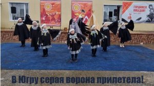 В Югру серая ворона прилетела!