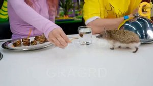 Построили ДОМ МЕЧТЫ ЗА 100.000$ для ЕЖА! *Новый участник А4* #А4 #ВладА4 #ВладБумага #Риви #Марк