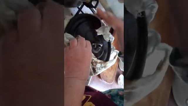 Полтавские галушки с одесскими приколами часть вторая
