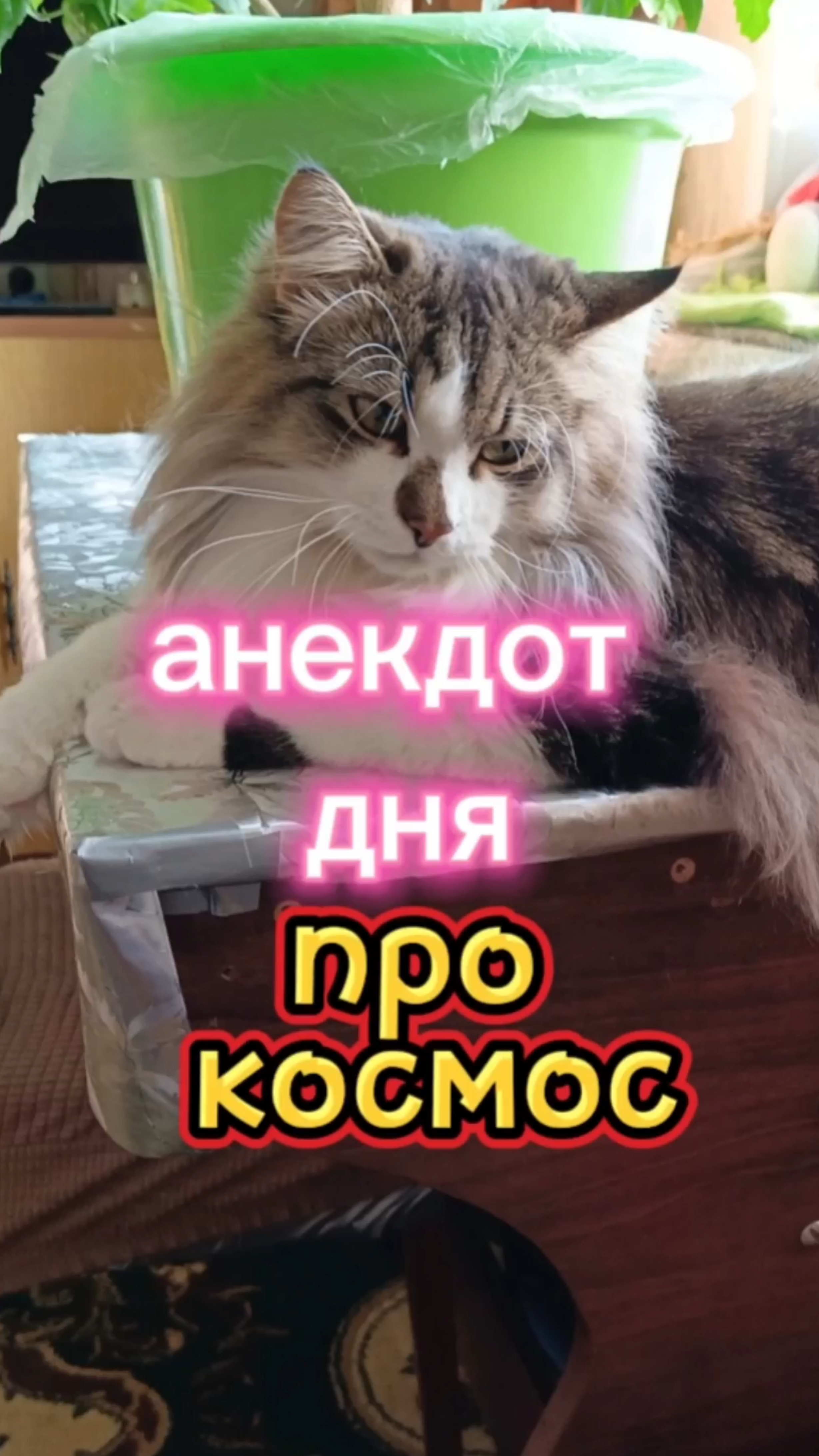 Анекдот дня про космос