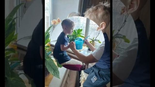 Видео от МБДОУ "Аленушка" с. Покровское