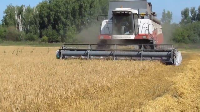 Уборочная -2019! КОМБАЙН АКРОС-530 в ДЕЛЕ! смотреть онлайн