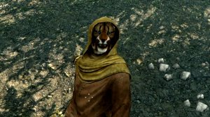 The Elder Scrolls V: Skyrim. М'Айк Лжец. Прерванная беседа. Прохождение от SAFa