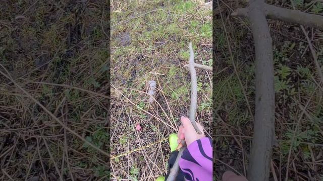 Какие-то цветы захватывают посёлок 2 смотреть онлайн