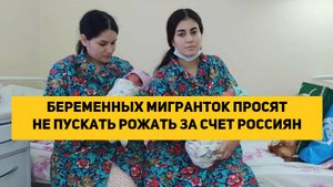 Беременных мигранток просят не пускать рожать за счет россиян