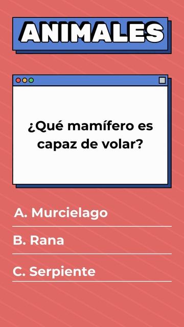 Animales 1213 #español #aprendeespanol #aprendiendoespanol #aprendiendoidiomas #aprenderespanol смотреть онлайн