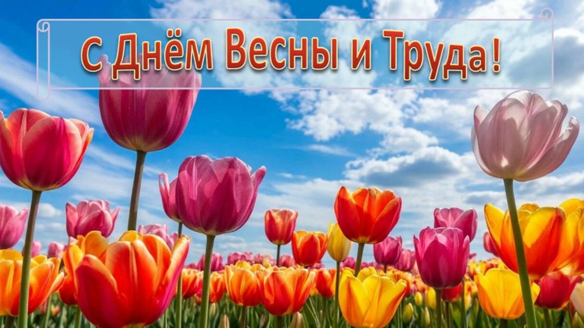 1 Мая видеооткрытка 1