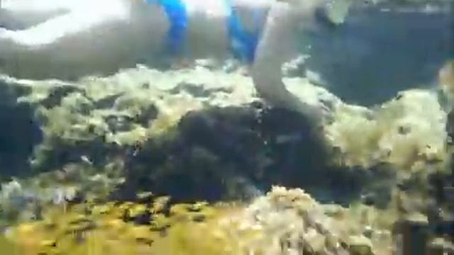 BOOPS SALPA смотреть онлайн