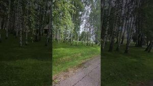 Отдых в Басовское. 2024 ГОД