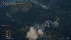 ELDEN RING shadow of the Erdtree замок Энсис прохождение,все секреты