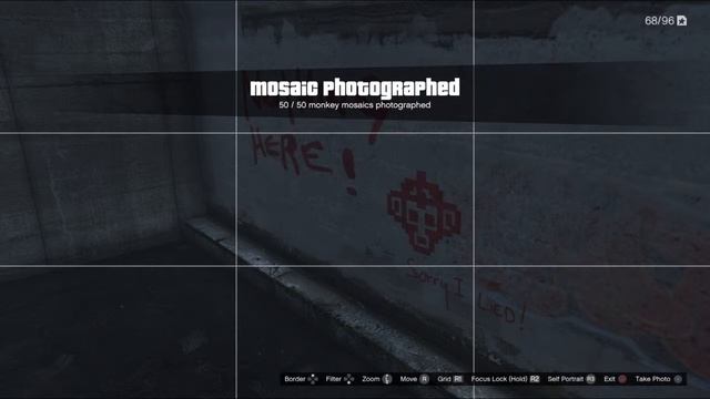 Grand Theft Auto V - Monkey Mosaic Photographed Location (18)