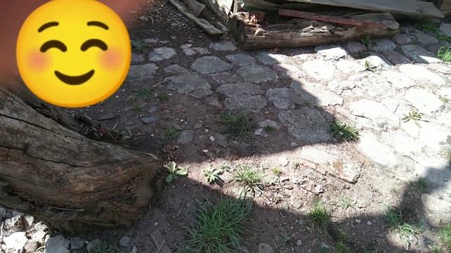 Северянка на хуторе//Я вернулась//Работа против простуды//Редиска и прочие радости🍀 смотреть онлайн