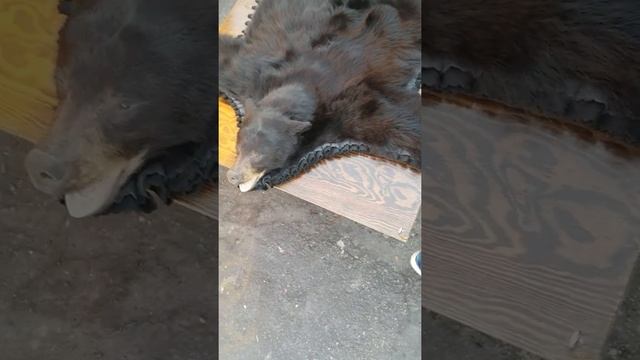 The Right Way To Skin A Bear смотреть онлайн