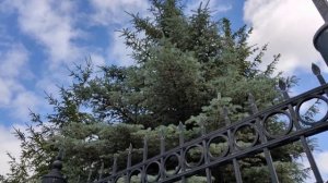 Прогулка по центру города, выехали из деревни в город, старинная улица города