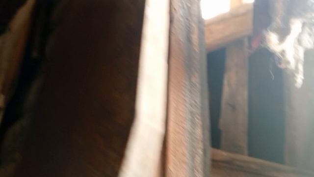 Заброшенный дом. 2
