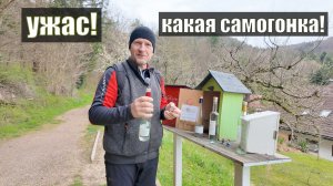 70/Пробуем самогонку в горах Германии. Мы в шоке  Что это? Церковь или дом викингов?