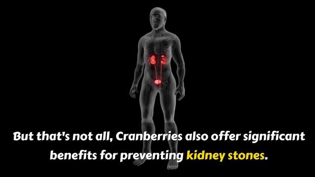 7 Best fruits that will cleanse your kidneys super fast naturally смотреть онлайн