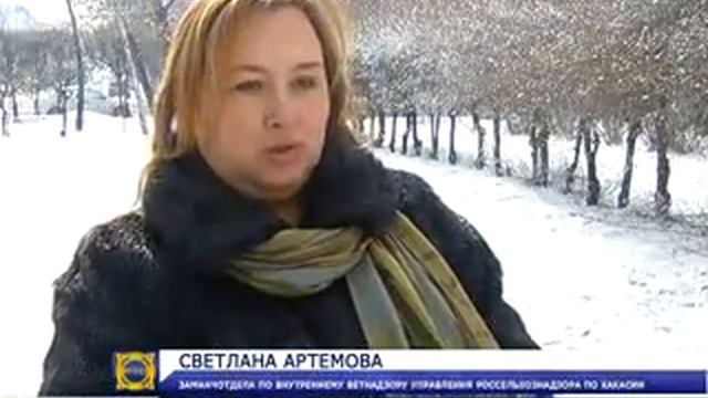 В Хакасии одно из передовых фермерских хозяйств отметилось не с лучшей стороны смотреть онлайн