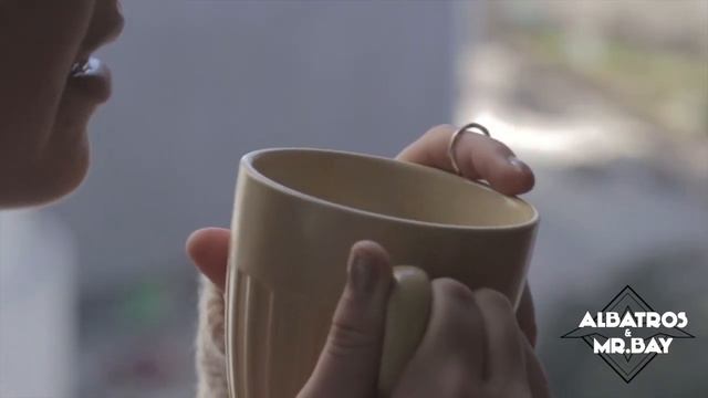 Albatros & Mr.Bay feat. Svenja Hagen - Du bist Mein (Official Video) смотреть онлайн