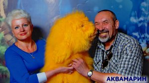 Цирк танцующих фонтанов