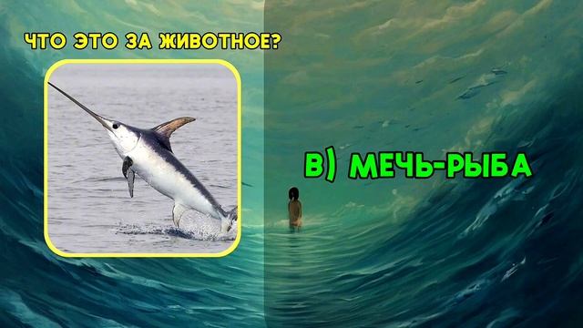 Угадай животных по картинке | Викторина для всех возрастов смотреть онлайн