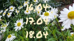 Лунный календарь для цветовода с14.04-20.04.25г.