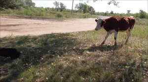 Встретились.