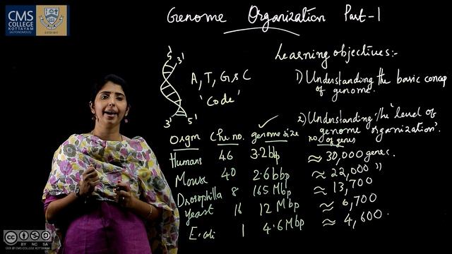 Genome Organization Part 1 | Ashalakshmi C N | Department of Biotechnology