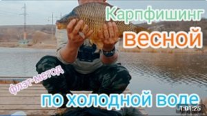 Ловля карпа весной, по холодной воде, на флэт- метод. Март 2025.