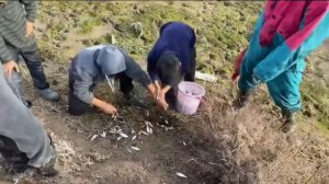 Мохи капи дар кишлок |  рыбалка в кишлаке #таджикистан ENG SUB