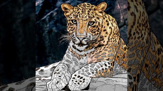 cheetah face colour fill #motivation#anime#shortsfeed#colurful#art#drawing#girldrawing#couplesketch смотреть онлайн